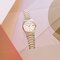 ساعت مچی عقربه ای زنانه فردریک کنسانت (Frederique Constant) مدل FC-303V2NH3B