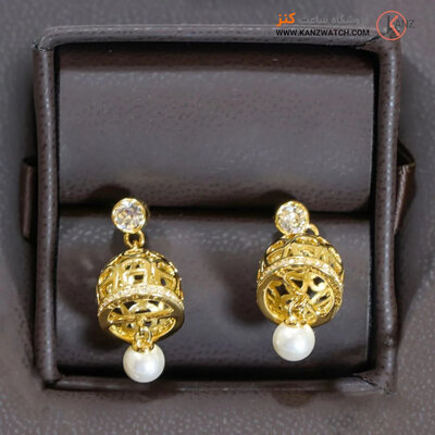 ساعت مچی عقربه ای زنانه اگنر (Aigner) مدل A108204-GIFT